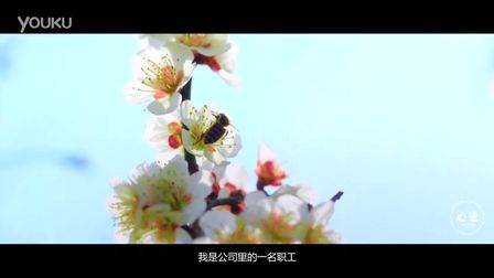 香雪海的護(hù)花使者